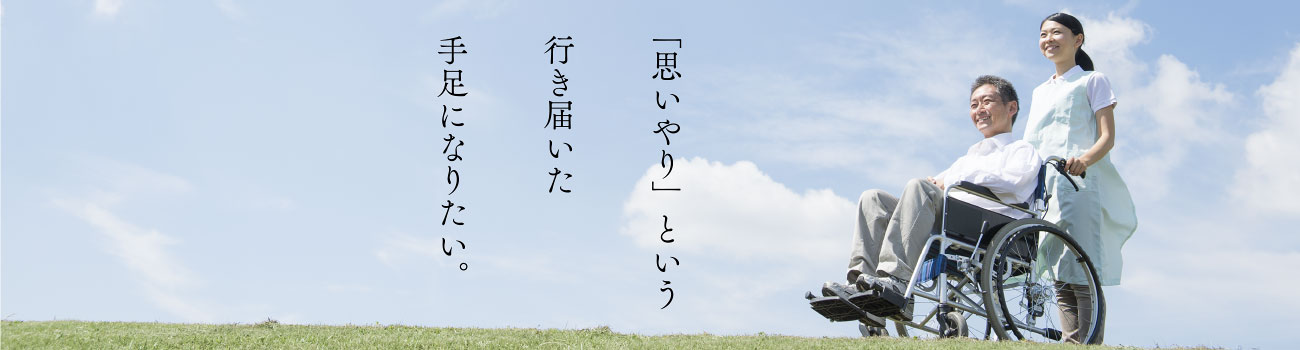 【新品未開封】ワールドワイドキッズ フォニックス DVD セット
