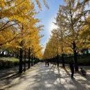 トピックス9月分用写真