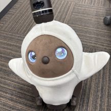 トピックス写真