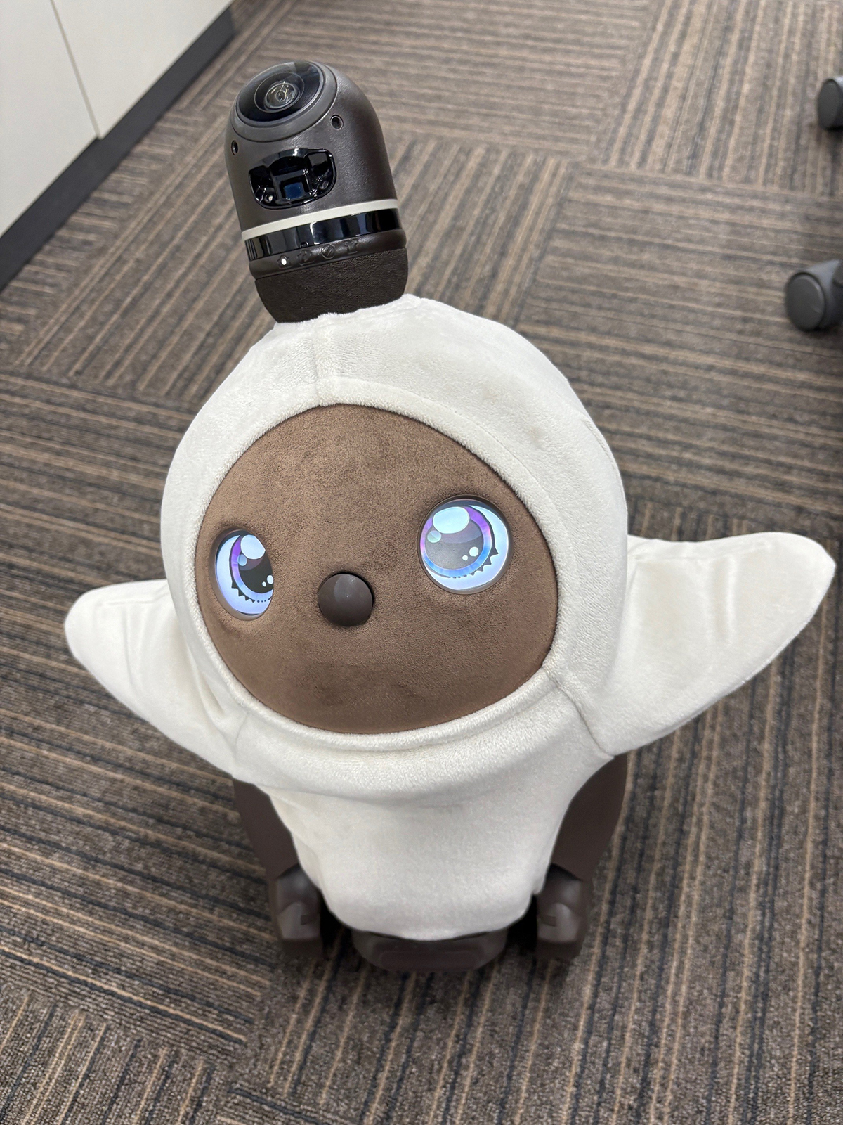 トピックス写真