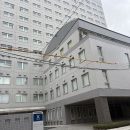 トピックス用写真